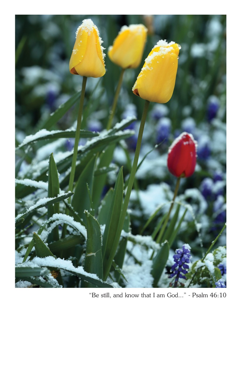 Winter Bulletin Cover | Psalm 46:10 - Master Sunday Bulletins