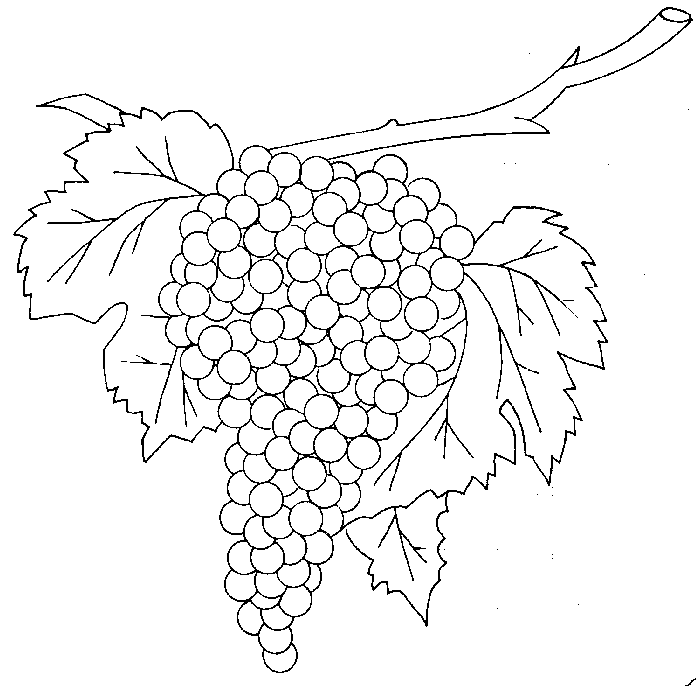 grapes