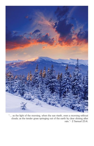 Winter Bulletin Cover | 2 Samuel 2:3-4 - Master Sunday Bulletins