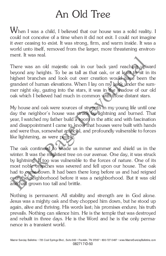 summer bulletin cover matthew 24 35 master sunday bulletins